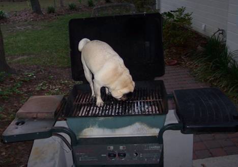 Is there any food up here?